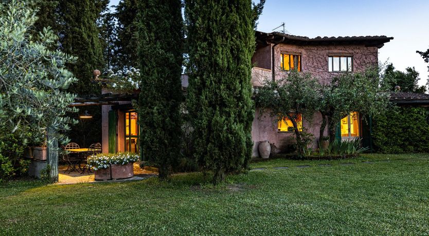 Photo of A Cypress Tree in the Lemon Grove