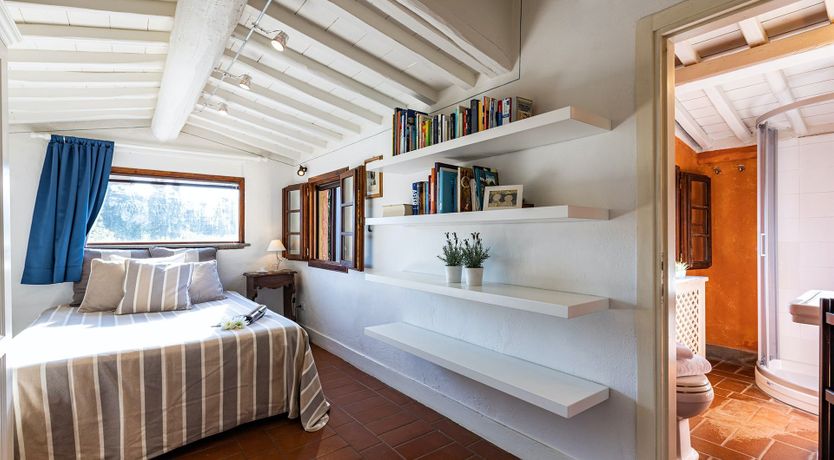 Photo of A Cypress Tree in the Lemon Grove