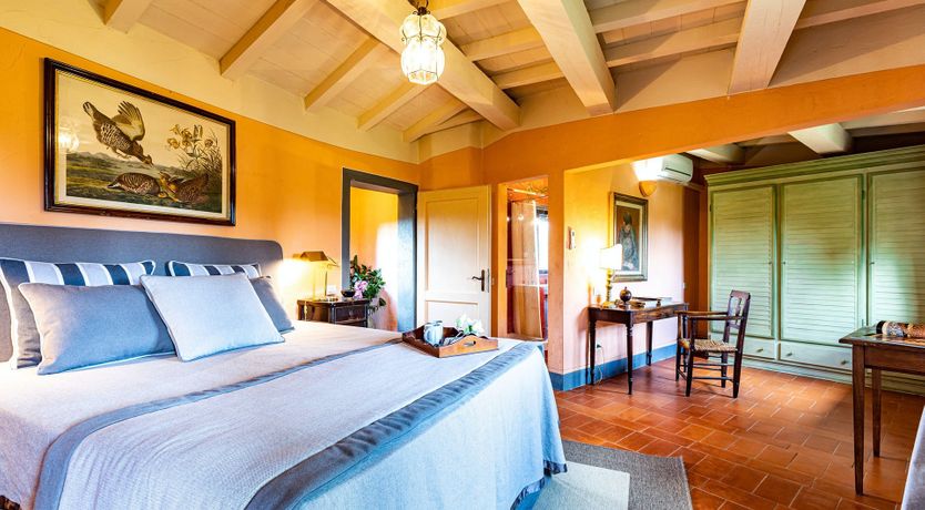 Photo of A Cypress Tree in the Lemon Grove