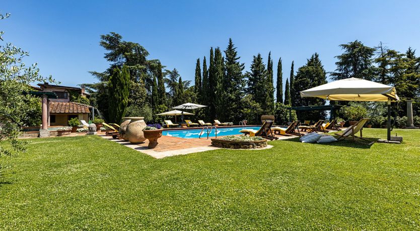 Photo of A Cypress Tree in the Lemon Grove