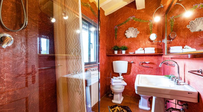 Photo of A Cypress Tree in the Lemon Grove