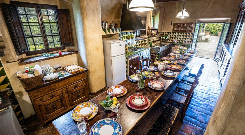 Photo of A Cypress Tree in the Lemon Grove