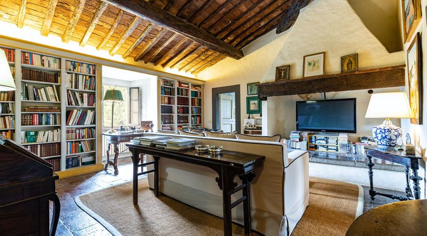 Photo of A Cypress Tree in the Lemon Grove