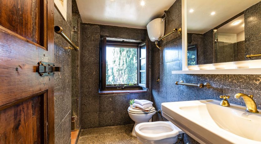 Photo of A Cypress Tree in the Lemon Grove