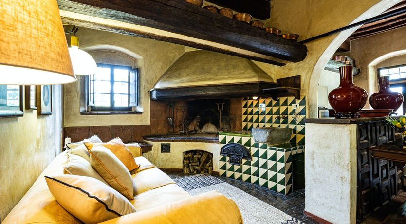 Photo of A Cypress Tree in the Lemon Grove