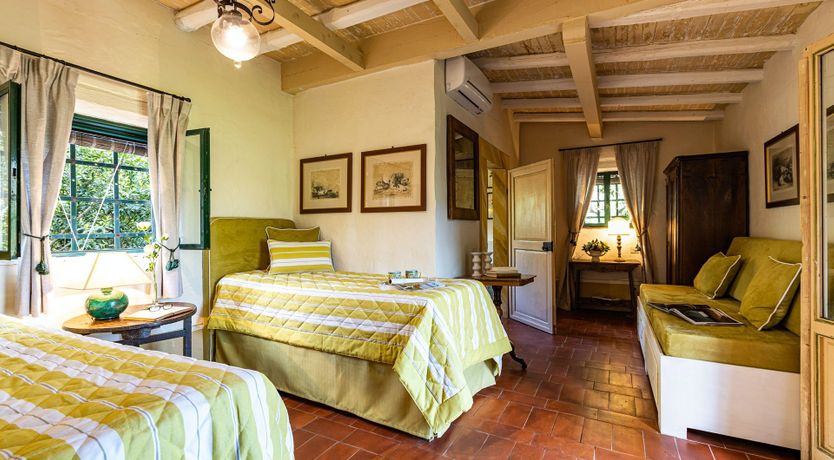 Photo of A Cypress Tree in the Lemon Grove