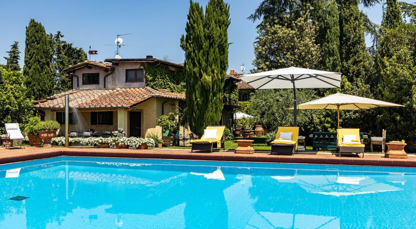 Photo of A Cypress Tree in the Lemon Grove