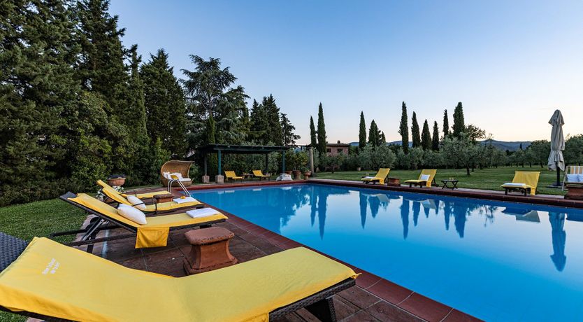 Photo of A Cypress Tree in the Lemon Grove