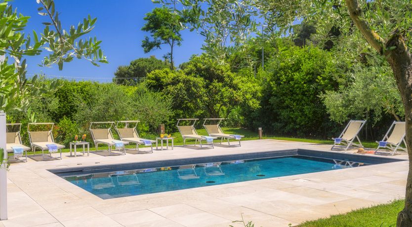 Photo of Myrtle Bloom