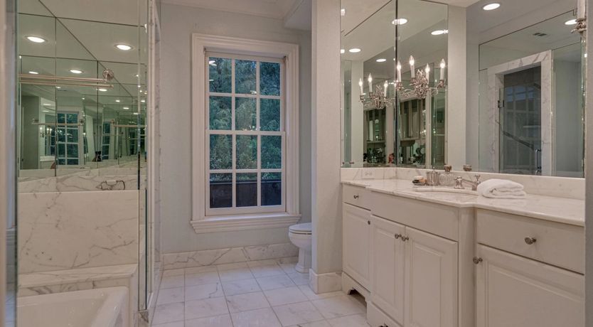 Photo of Venus's Dance