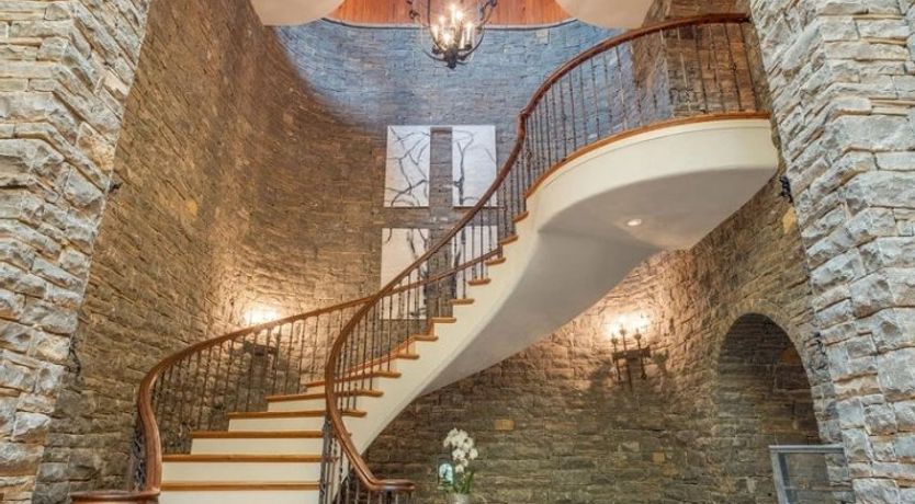 Photo of Venus's Dance