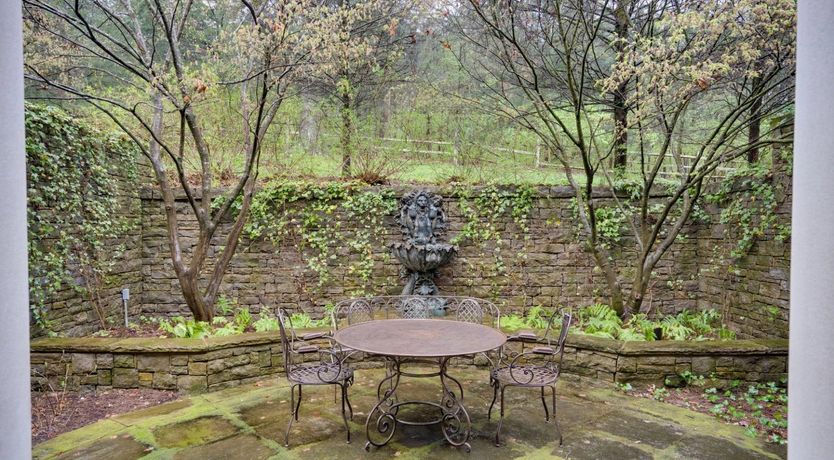 Photo of Venus's Dance