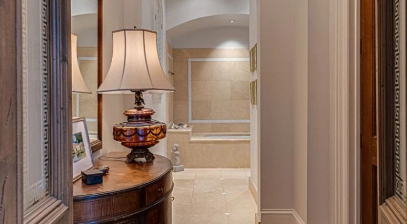 Photo of Venus's Dance