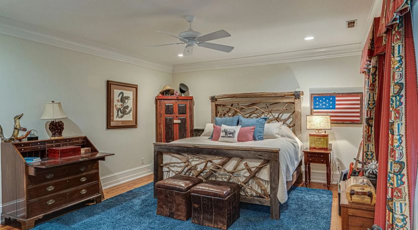 Photo of Venus's Dance