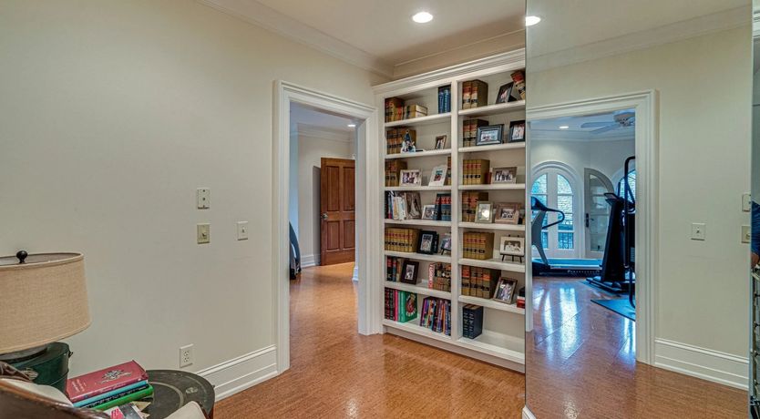 Photo of Venus's Dance