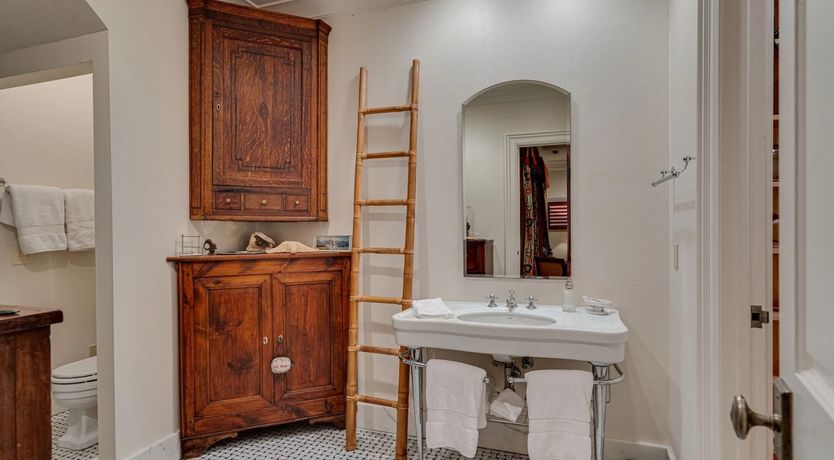 Photo of Venus's Dance