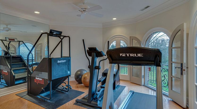 Photo of Venus's Dance