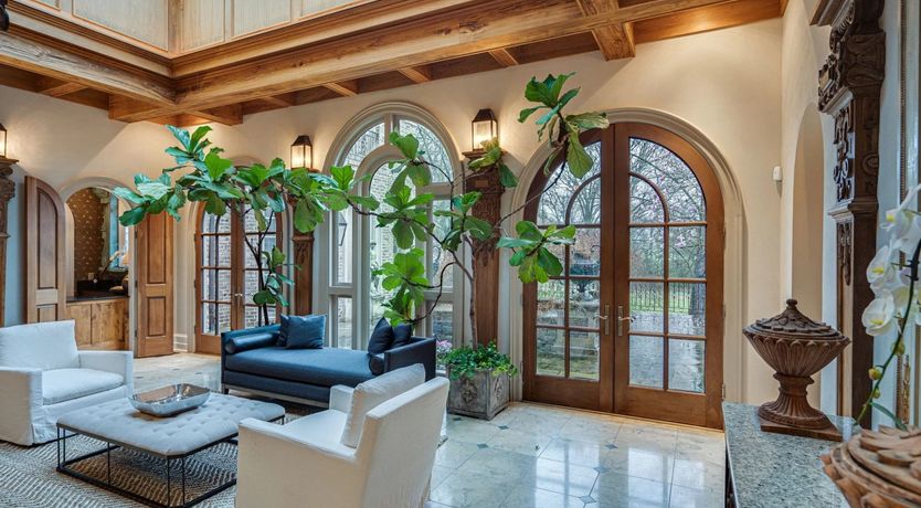 Photo of Venus's Dance