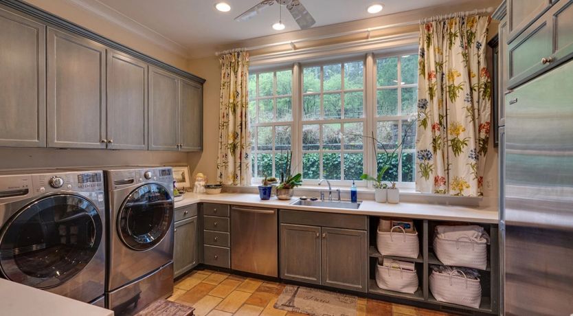 Photo of Venus's Dance