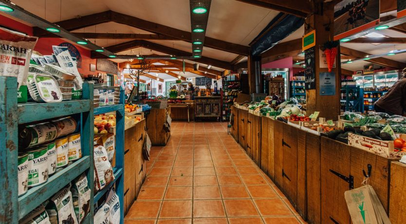 Photo of Green Is The Colour