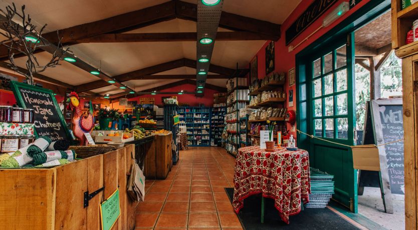 Photo of Green Is The Colour