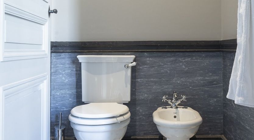 Photo of Marais Royalty