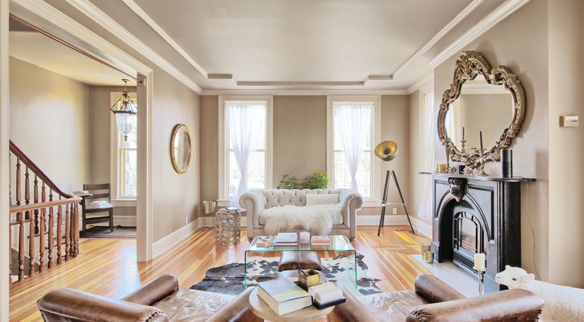 Photo of Venus In Furs