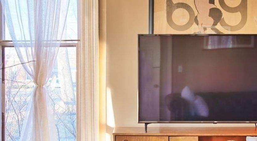 Photo of Venus In Furs