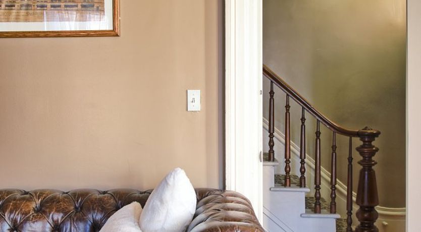 Photo of Venus In Furs