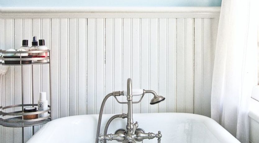 Photo of Venus In Furs