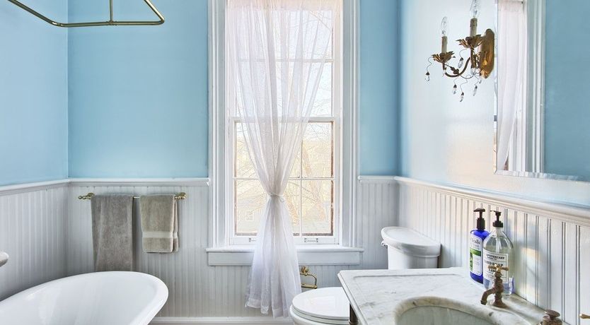 Photo of Venus In Furs