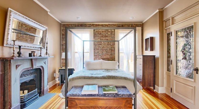 Photo of Venus In Furs