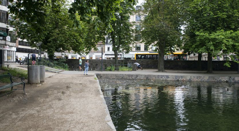 Photo of Antique Fantastique