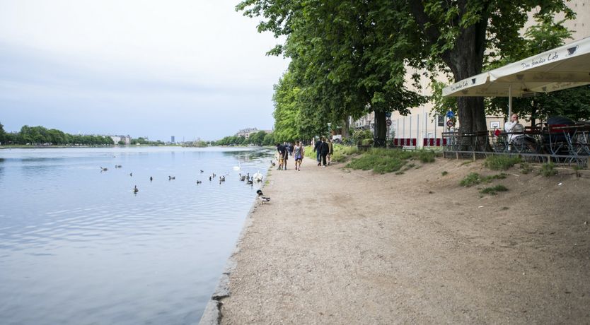 Photo of Antique Fantastique