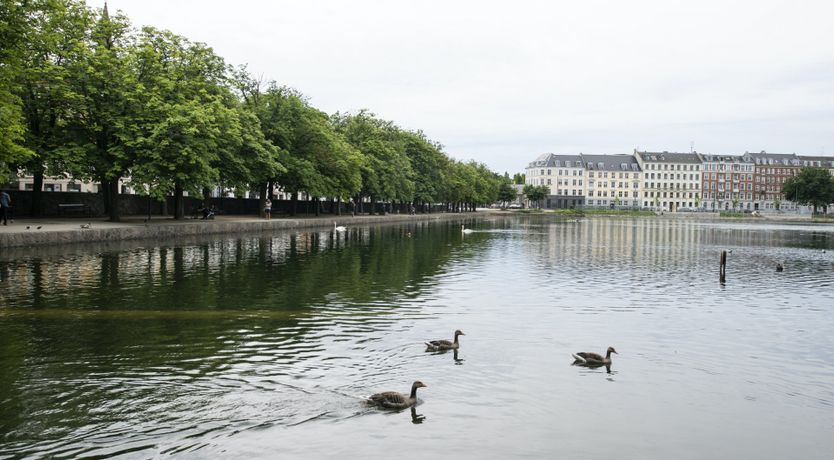 Photo of Antique Fantastique