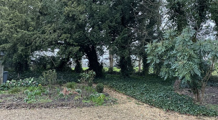 Photo of Rosemary & Thyme