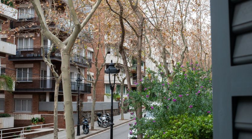 Photo of The Ionic Order