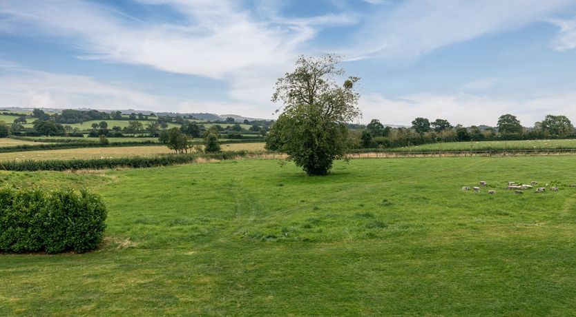 Photo of Honey Stone