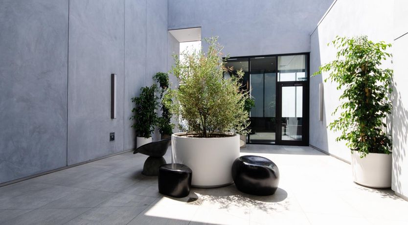 Photo of Rowan and the Junco