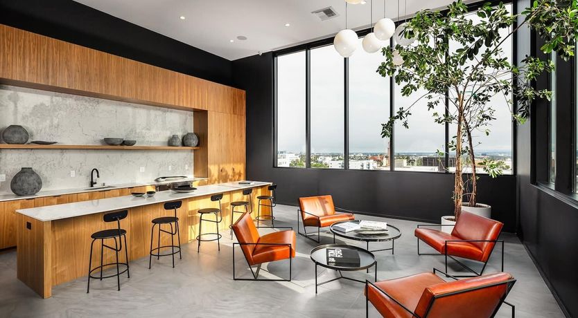 Photo of Rowan and the Junco