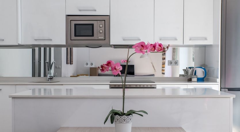 Photo of The Sun and Stone