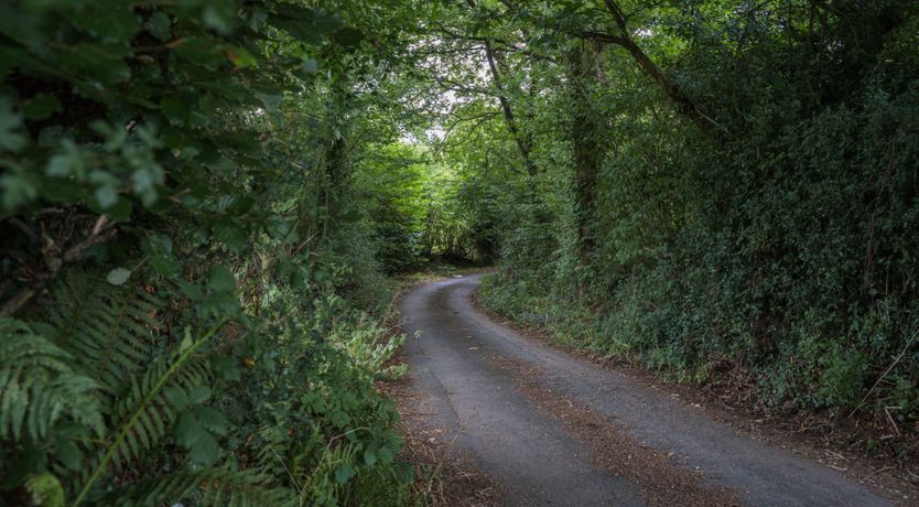 Photo of Earth & Fire