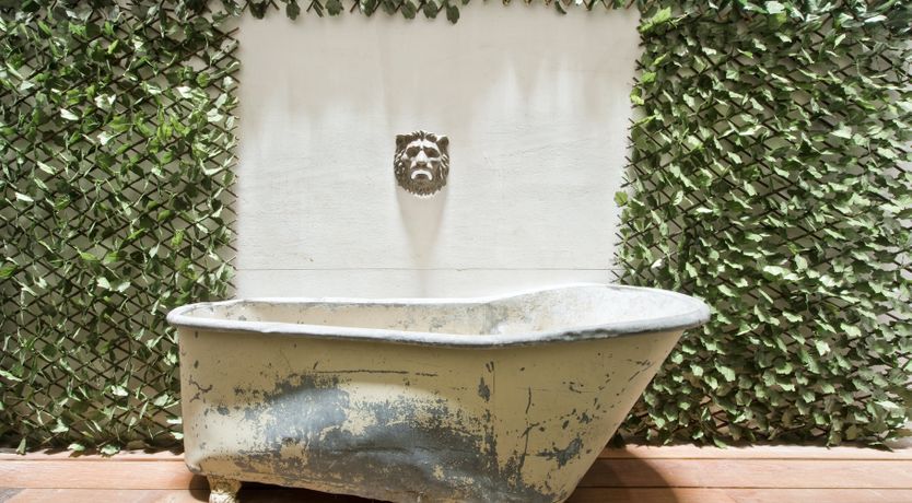 Photo of The Feather Chandelier