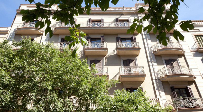 Photo of The Feather Chandelier
