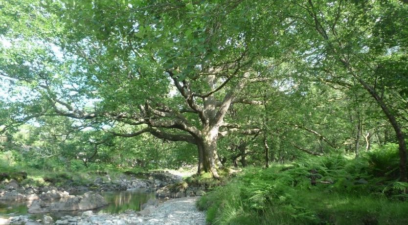 Photo of Stanley Ghyll Cottage
