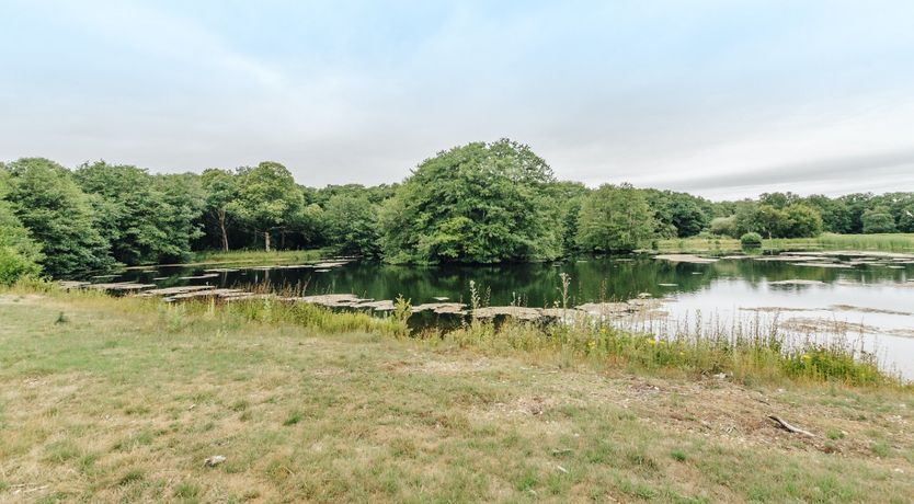 Photo of Sense & Sensibility