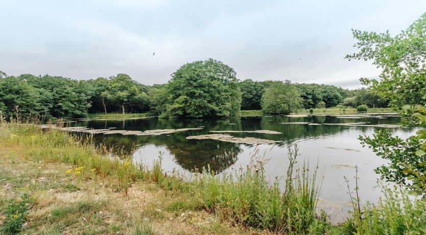 Photo of Sense & Sensibility