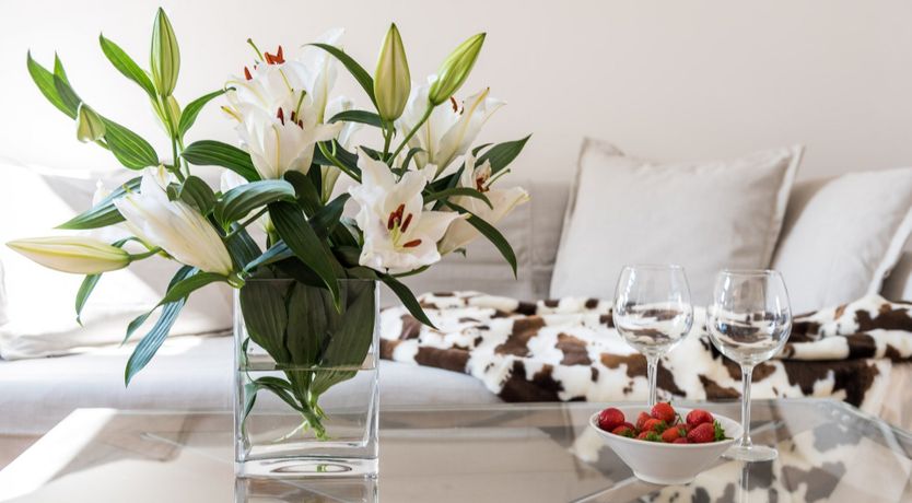 Photo of Lucky Number 8 First