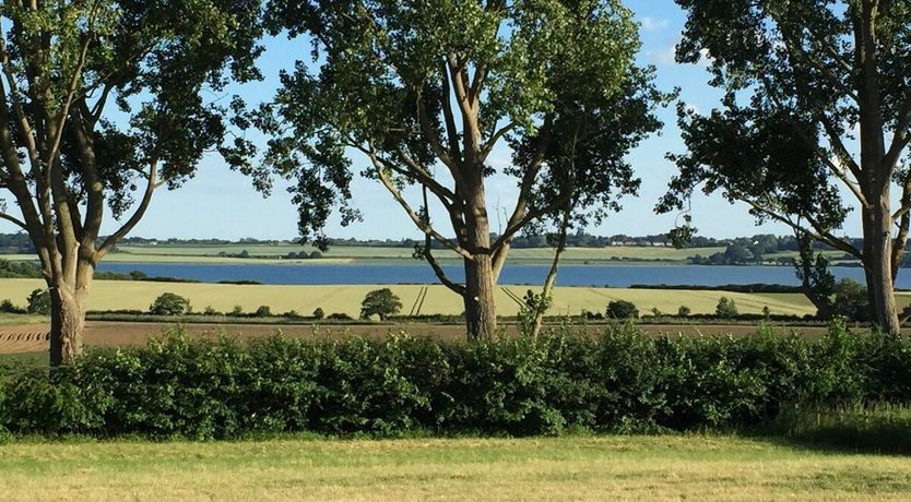 Photo of Barefoot Magic