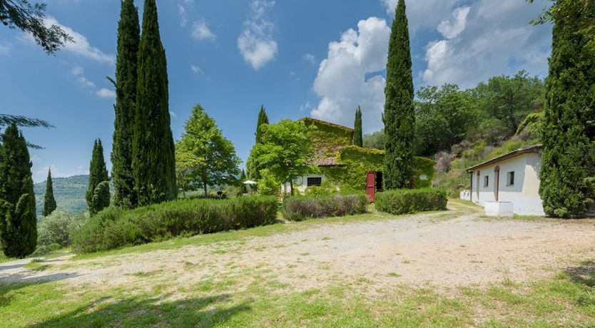 Photo of A Touch Of Ivy